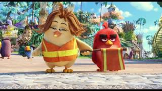 Angry Birds - Crossing Guard