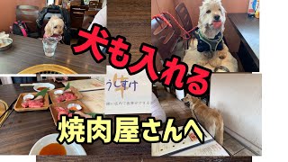 犬も入れる焼肉屋さん「うしすけ本店」