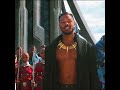 Black Panther X All The Stars