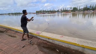 ត្រីក្អុកសំបូណាស់វាត់អត់ទាន់ទេ||Fishing fish lots of fish