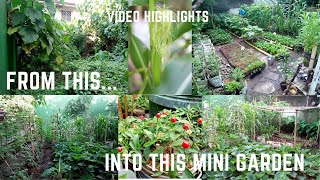 Our Backyard Garden - How to turn 120 Square Meter Vacant Lot w/ 50 Types of Plants Mini Garden