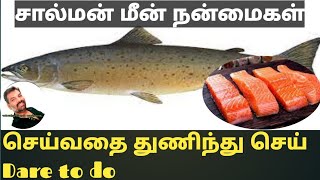 சால்மன் மீன் நன்மைகள்