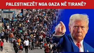 Shqipëria të kërkojë Kosovën nga Trump nëse na sjellin palestinezët. Afganët e muxhahedinët...