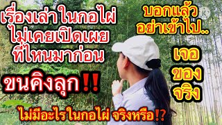 เข้าป่าหาหน่อไม้ที่อเมริกา‼️บอกแล้วอย่าเข้าไป เจอของจริงจนได้🧐ถ้าไม่เจอกับตัวเองๆจะไม่เล่า อย่าหาทำ