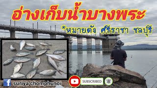 Ep.76 ตกปลานิล🎣🐟หมายอ่างบางพระ ชลบุรี👍(โค้งโรงสูบ)