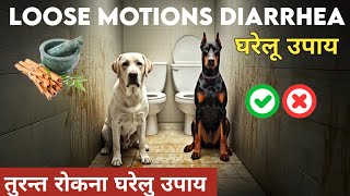 Dog ke Dast Ka Illaj /Puppy Diarrhea Home Remedy