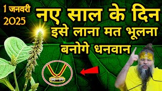 1 जनवरी 2025 के दिन इस पौधे की जड़ पहनने से पूरे साल धनवर्षा होगी | premanand mahatma astrology