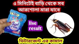 ৫ মিনিটেই এক্ষণ বাড়ি থেকে সব আরশোলা মেরে ফেলুন এই ঘরোয়া টোটকার সাহায্যে/cockroach killer/hacks