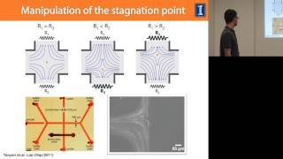 Introduction to Hydrodynamic Particle Trapping