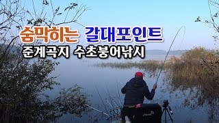 준계곡지 붕어낚시, 환상적인 갈대포인트에서의 한판승부!!!