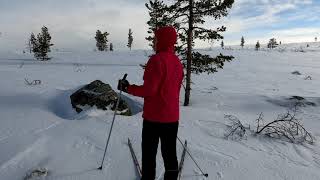 Urho Kekkonen National Park. Saariselkä Ahopäät