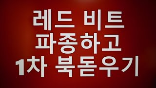 텃밭농부#359. 레드비트.비트재배.북돋우기.비트