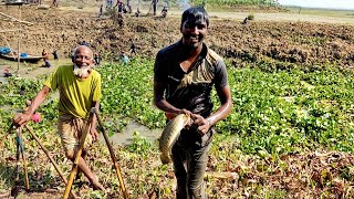 চাক জাল দিয়ে বিশাল বিশাল মাছ  ধরার পদ্ধতি || Method of catching huge fish with chalk nets