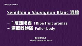 【Watson's Wine Academy】 #8 品酒前必學葡萄品種(6)🍇 - Sauvignon Blanc