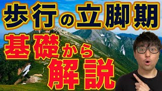 【歩行の基本】立脚期を相別に分けて解説