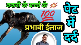 bakri ke bache ke pet mein dard बकरी के बच्चे के पेट में दर्द  bakre ke pet mein dard 100% ईलाज