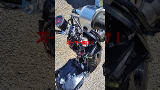 ズーマーバッテリーあがる#ズーマー#バイク動画#HONDA