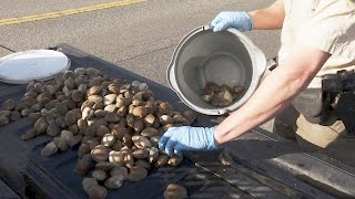 Group Busted Poaching Clams