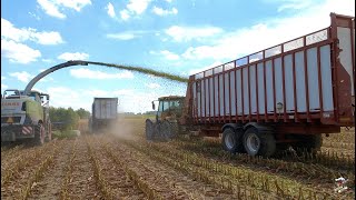 Chopping Corn Silage near Somerville Ohio 2022