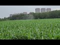 52L BROUAV agricultural spray drones