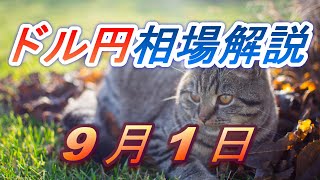 【TAKA FX】ドル円為替相場の前日の動きをチャートから解説。日経平均、NYダウ、金チャートも。9月1日