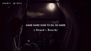 HARE HARE HUM TO DIL SE HARE [ SLOWED + REVERB ] | SHARIQUE KHAN | COVER SONG |ANKIT MEHTA | LOFI