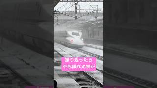 振り返ったら不思議な光景になった新幹線　大雪の米原駅の一コマ