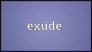 Exude Meaning