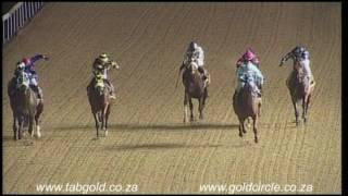 20170324 Greyville Race 8 won by HALLO MR