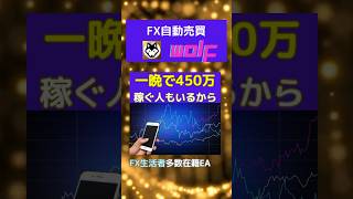 FX生活者・長期継続者多いFX自動売買システム☆爆益型なら月利200～500%☆ナント放置安定型でも月利100%☆上級者多いですがFX初心者サポ万全☆長期運営の安心環境