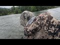 columbia river shad fishing the shad rack below bonneville dam