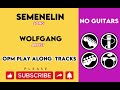 Semenelin   Wolfgang  ( No Guitars )