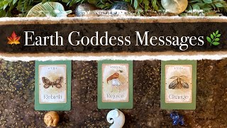 Earth Goddess Messages! 🌿 Timeless Pick a card Tarot Readings