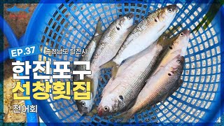 햇전어가 돌아왔다...! 자릿값 없는 2만원 전어회(한진포구 바다 경치는 덤...ㅎ)