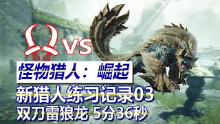 【怪物猎人崛起】双刀(双剑) vs 上位雷狼龙 5分36秒 练习记录 | NS青年团 | MHR