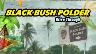 BLACK BUSH POLDER 🌴*drive through* Corentyne Berbice Guyana🇬🇾🚘