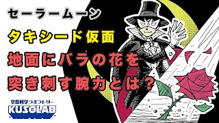 バラを投げて地面に突き刺すタキシード仮面のすごさとは!?【セーラームーン】