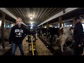 how long does morning milking take on our 70 cow dairy farm…