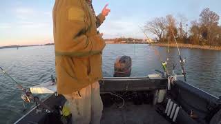 First catfish on the new boat