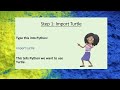 Python Lesson #8: Drawing and Coloring a Star in Python Turtle