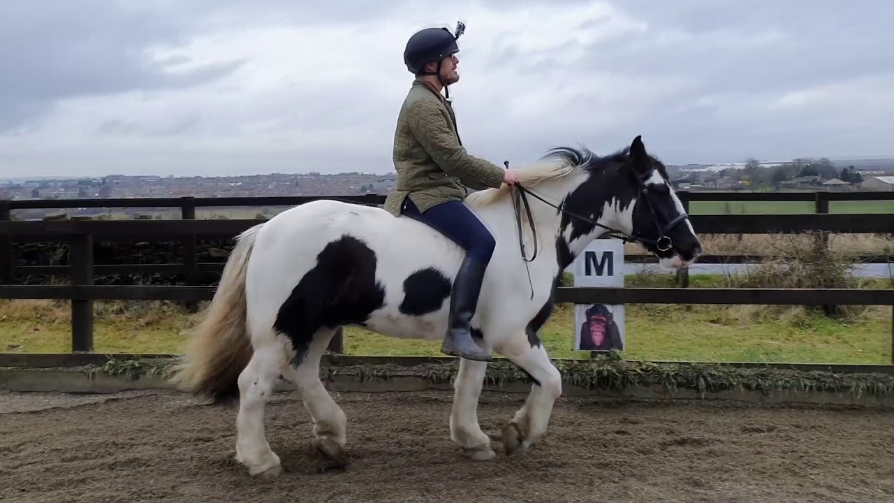 Bareback Riding Youtube