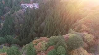 東京都青梅市ー御岳山の紅葉をdroneで空撮　No,2