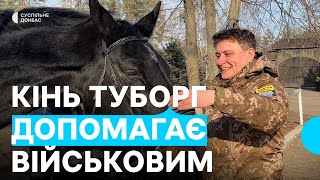 Кінь Туборг, врятований з-під обстрілів, допомагає військовим. Іпотерапія для бійців 111 бригади ТрО