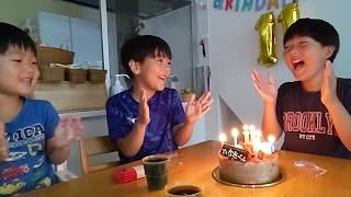 ひなごん11歳のお誕生日  ケーキでお祝い  お家にケーキが来てくれてよかったどんちゃん　＃1935