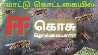 ஈ / கொசு தொல்லையா???? என்ன செய்வது???? #drjtk #ஈ #tamil #கொசு