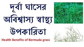 durba ghaser upokarita/দূর্বা ঘাসের উপকারিতা/durba ghaser gunagun/ দূর্বারগুনাগুণ/Best Bangla Videos