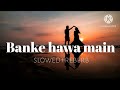 banke hawa mein slowed reberb||banke hawa mein bezubaan mein dil lagane aaunga #lofi #lyrics #slowed