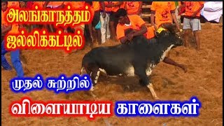 அலங்காநத்தம் ஜல்லிக்கட்டில் முதல் சுற்றில் சிறப்பாக விளையாடிய காளைகள்