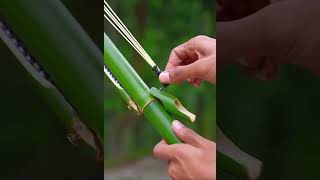 A homemade bamboo shoot😱#bamboo