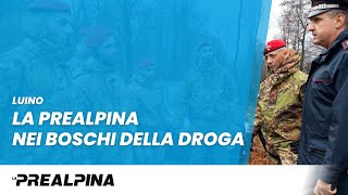 Varese – La Prealpina nei boschi della droga